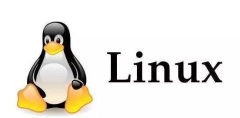 Linux基础